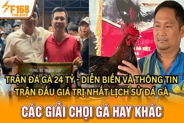 Các giải chọi gà hay khác