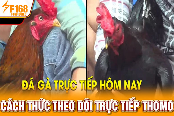 Cách thức theo dõi trực tiếp Thomo Cách thức theo dõi trực tiếp Thomo