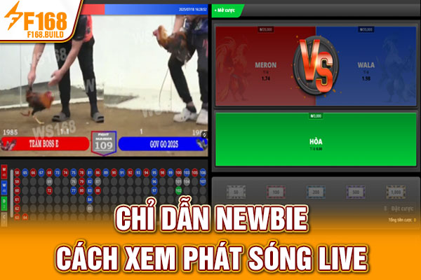 Chỉ dẫn newbie cách xem phát sóng live Chỉ dẫn newbie cách xem phát sóng live