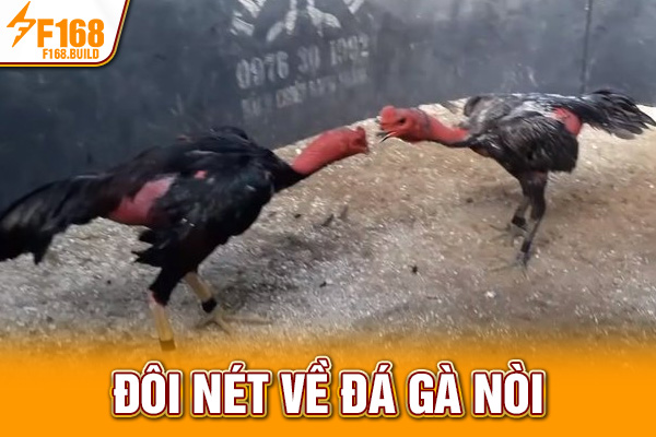 Đôi nét về đá gà nòi Đôi nét về đá gà nòi
