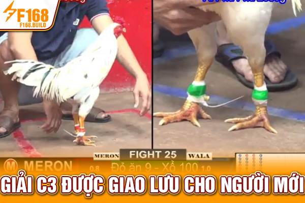Giải C3 được giao lưu cho người mới Giải C3 được giao lưu cho người mới