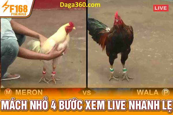 Mách nhỏ 4 bước xem live nhanh lẹ Mách nhỏ 4 bước xem live nhanh lẹ