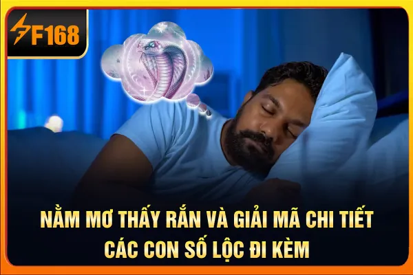 Nằm Mơ Thấy Rắn Và Giải Mã Chi Tiết Các Con Số Lộc Đi Kèm