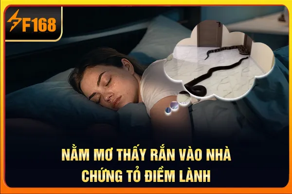 Nằm mơ thấy rắn vào nhà chứng tỏ điềm lành Nằm mơ thấy rắn vào nhà chứng tỏ điềm lành