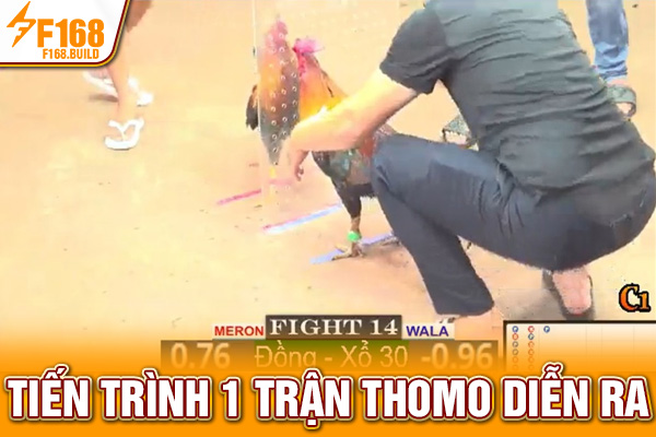 Tiến trình 1 trận Thomo diễn ra Tiến trình 1 trận Thomo diễn ra