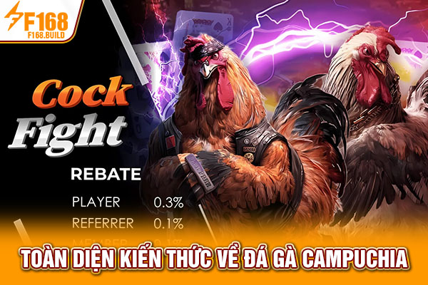 Toàn diện kiến thức về đá gà Campuchia