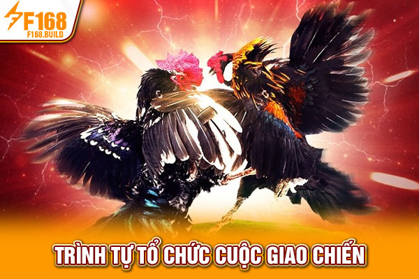 Trình tự tổ chức cuộc giao chiến