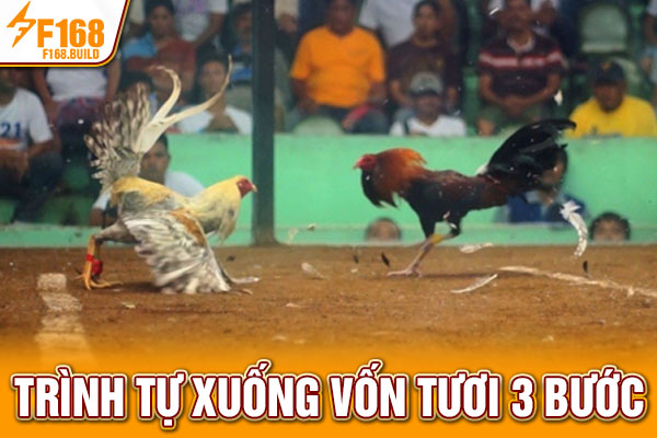 Trình tự xuống vốn tươi 3 bước